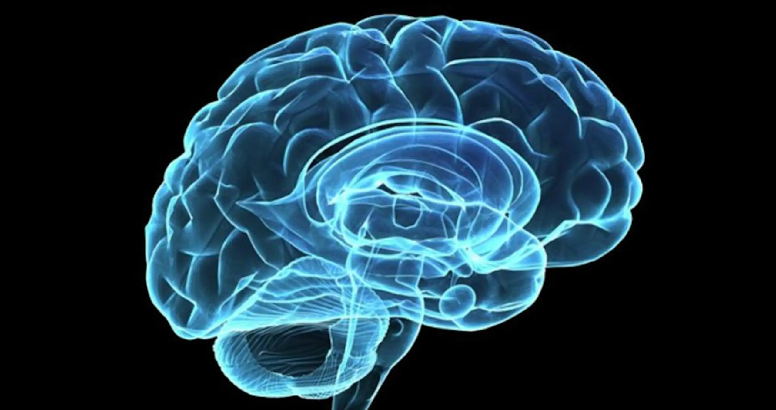 Babies born with big heads are more likely to be successful, study claims