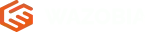 Wazobia Logo