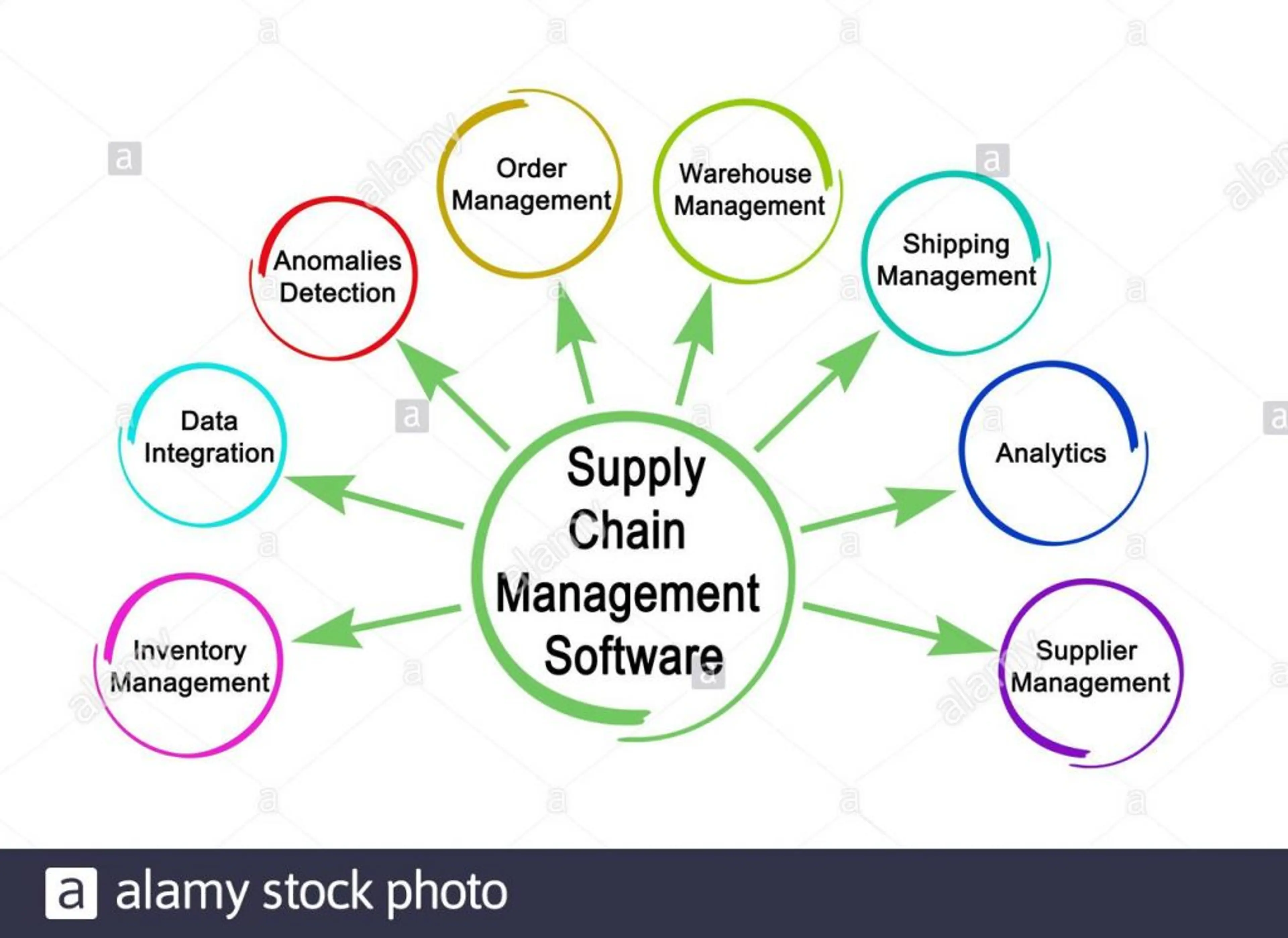 Supply Chain Management Software- The Basics image