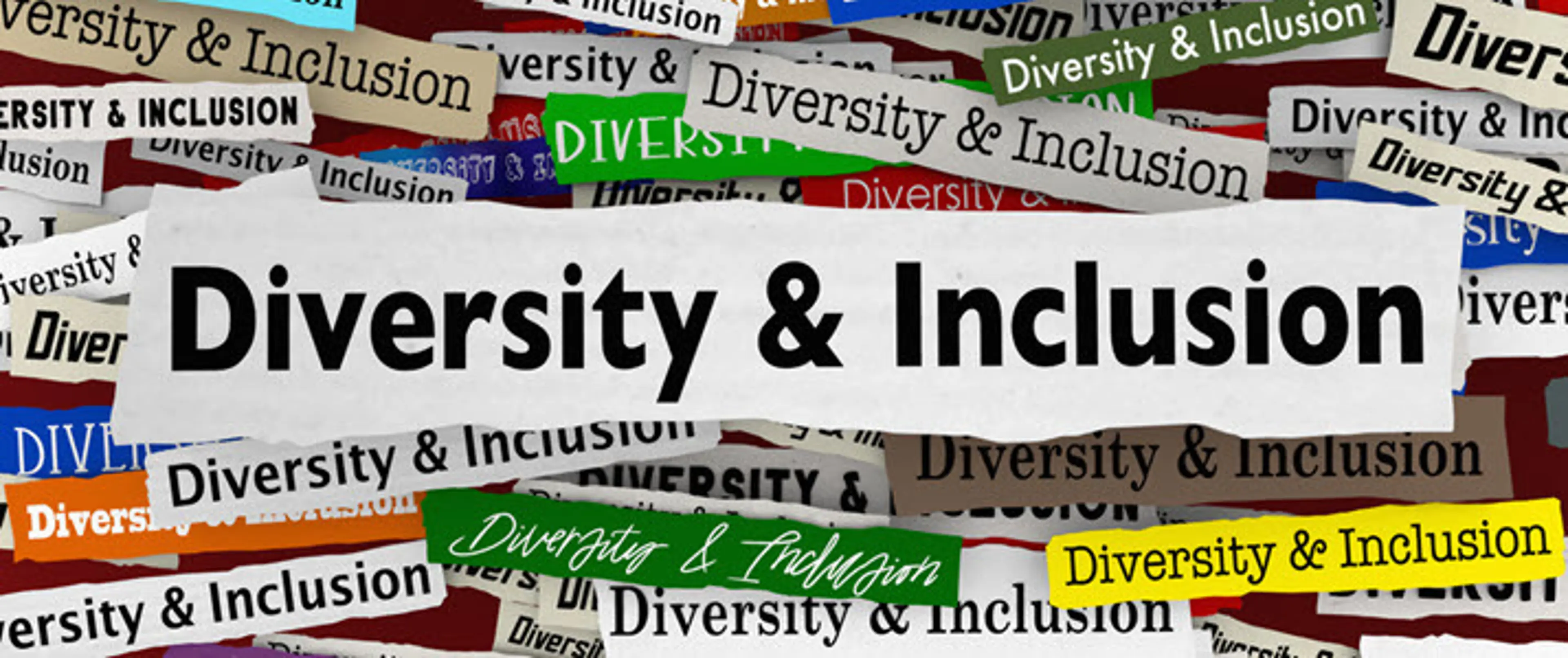 Fostering Diversity and Inclusion in the Tech Industry image