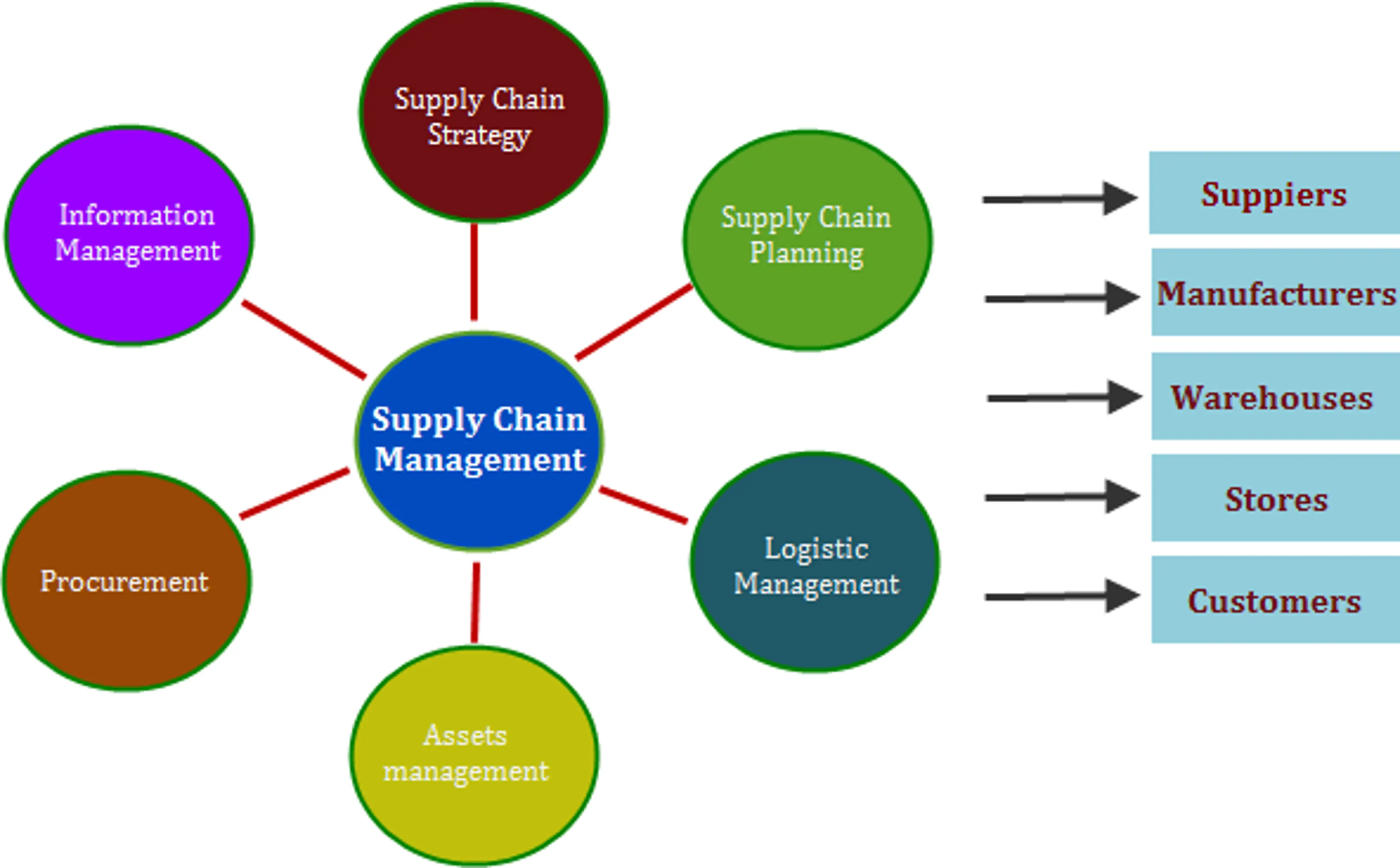 Supply Chain Management (SCM) Software, Process, and Roles image