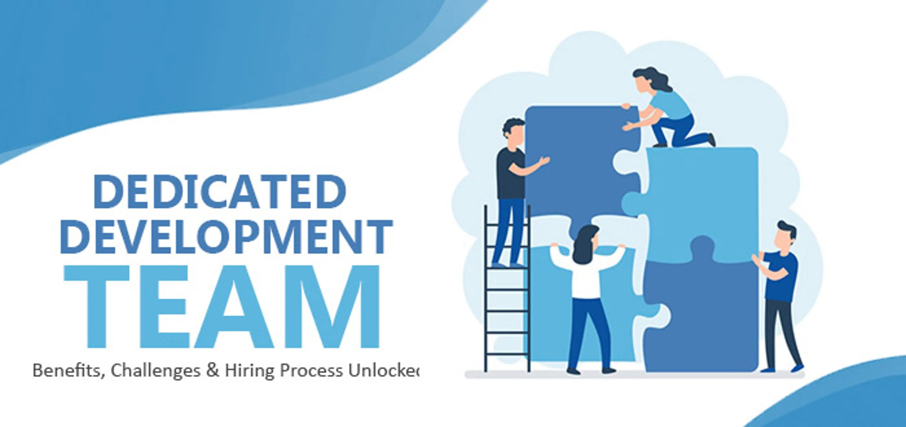 Dedicated Development Team image