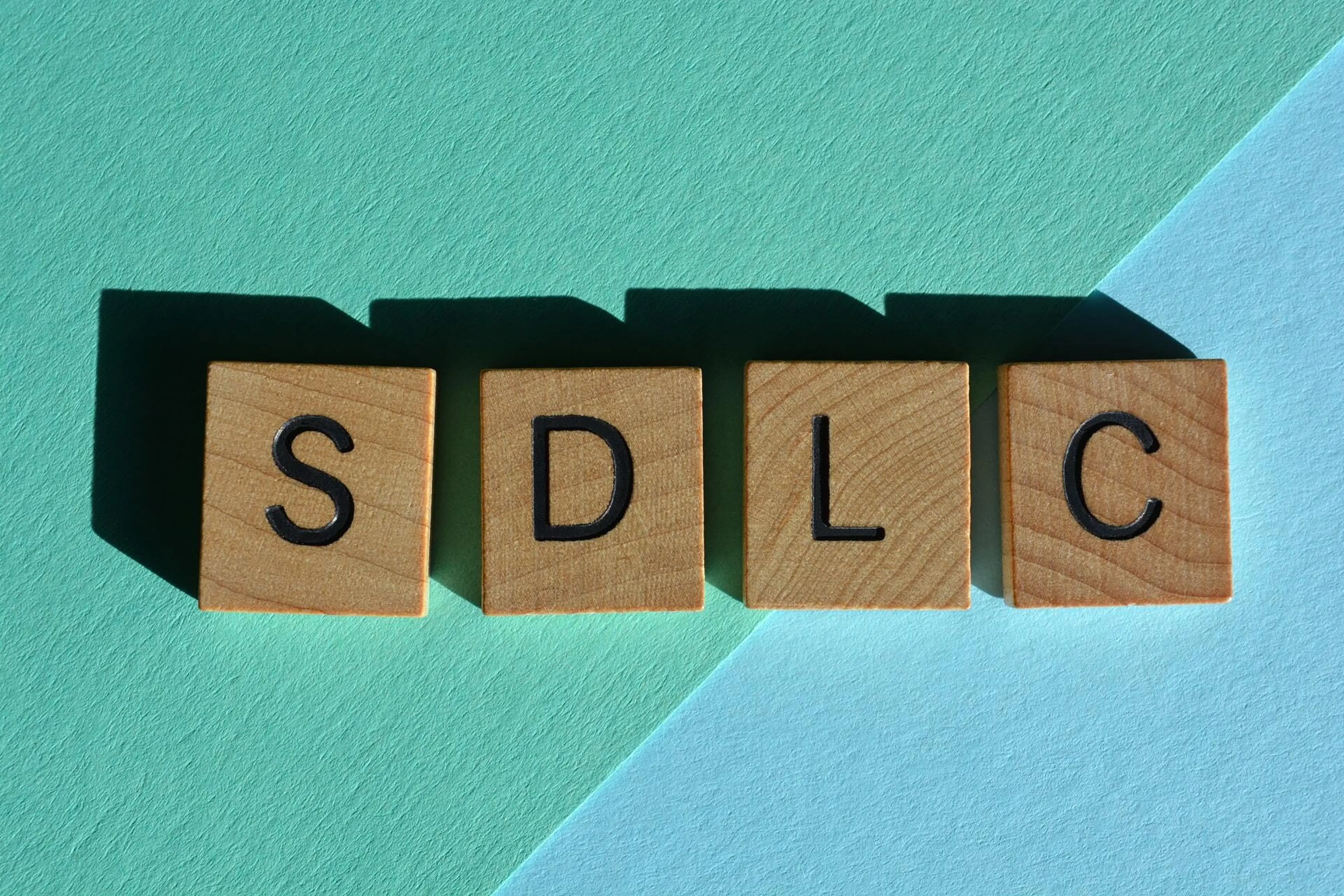 Software Development Lifecycle-The Complete Guide image